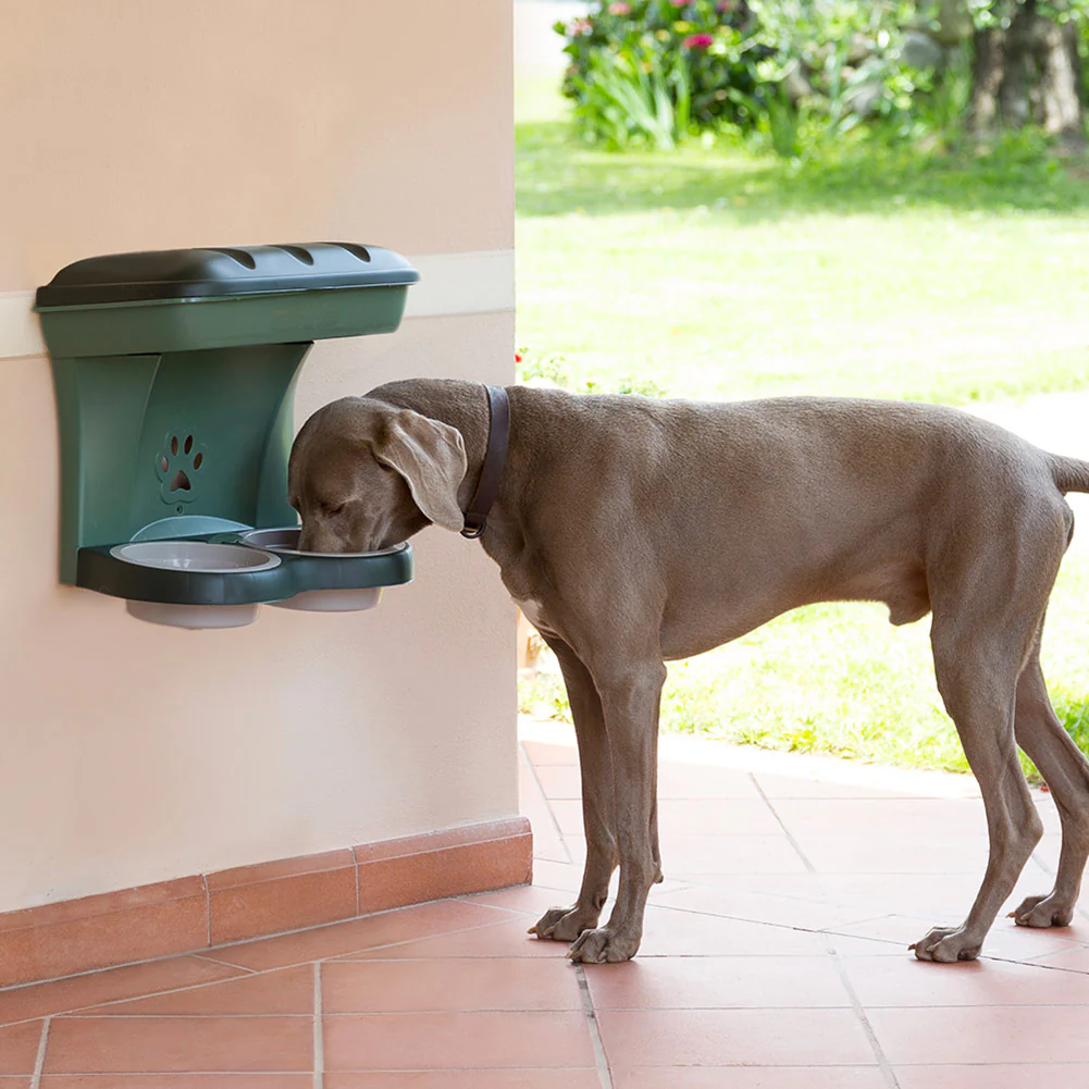 Bama Pet Mountable Food Stand with Storage Compartment, Green, Average Dog Size - Image 2