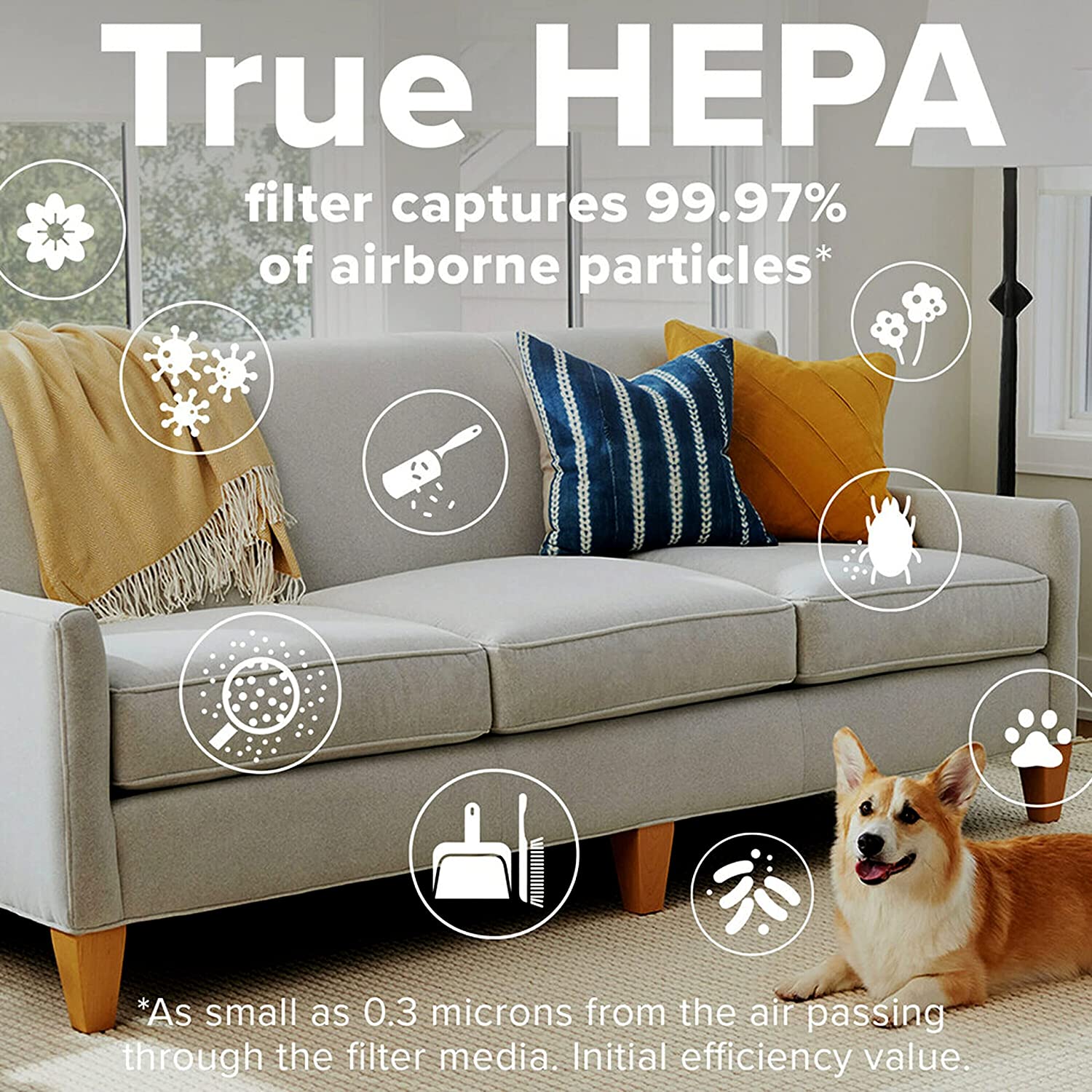 Filtrete Smart Air Purifier, Air Quality Monitor Medium Rooms, Up To 150 Sq ft, Alexa Enabled - Image 5