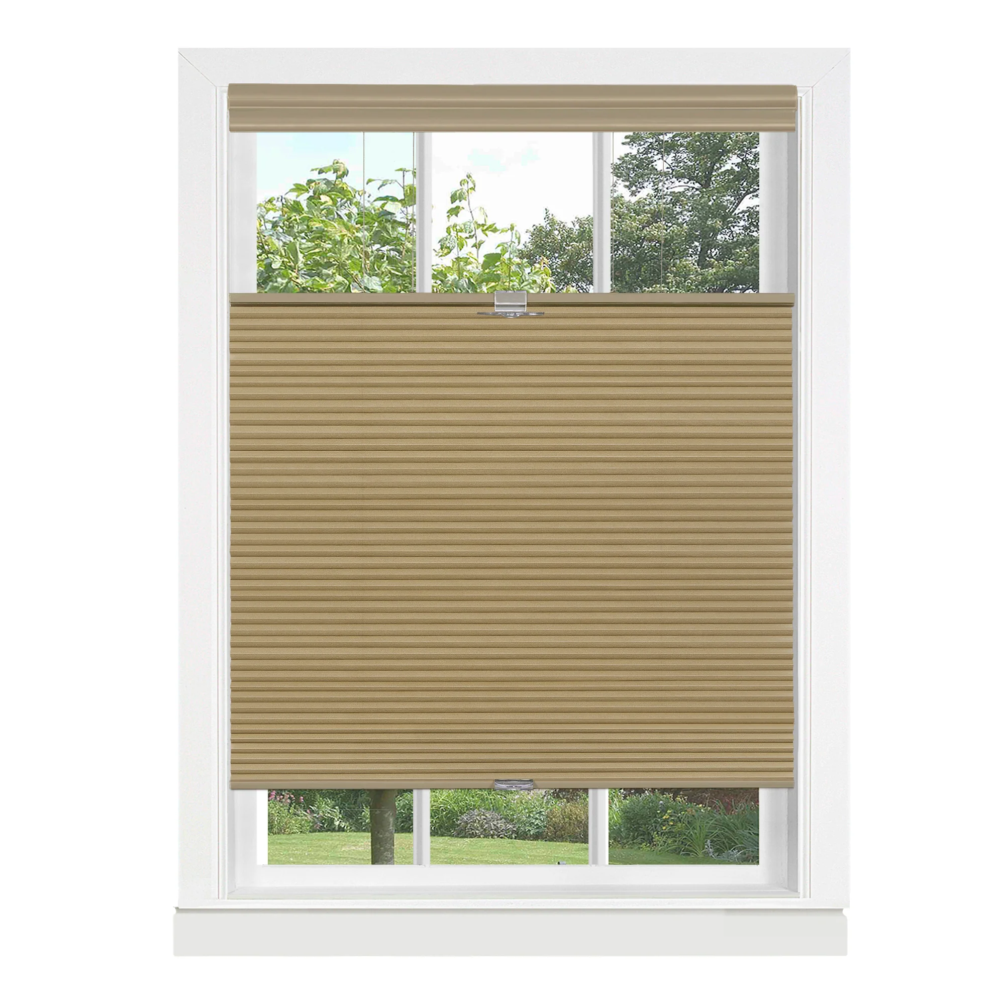 Top Down-Bottom Up Cordless Honeycomb Cellular Shade - Image 39